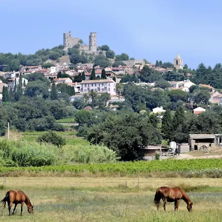 La Casa Del Sol -2 A 5 Pers - 5km De Saint Tropez Gassin
