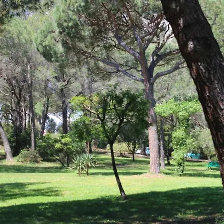 בית נופש La Casa Del Sol -2 A 5 Pers - 5km De Saint Tropez גאסה